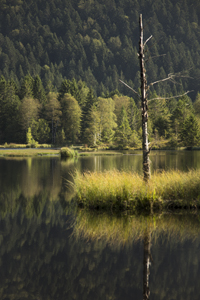 16099645-Lac De Lispach-Frank_Koerver-Naturfotografie