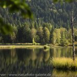 16099642-Lac_De_Lispach-Frank_Koerver-Naturfotografie