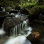 16099704-Wasserfall-Frank_Koerver-Naturfotografie
