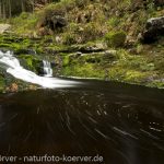 Frank Körver - Naturfotografie