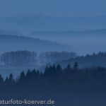 Frank Körver - Naturfotografie, Morgenstimmung in der Rhön