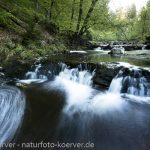 Frank Körver - Naturfotografie, La Hoegne