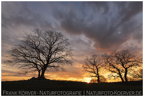 Frank Körver - Naturfotografie, Sonnenuntergang im Westerwald