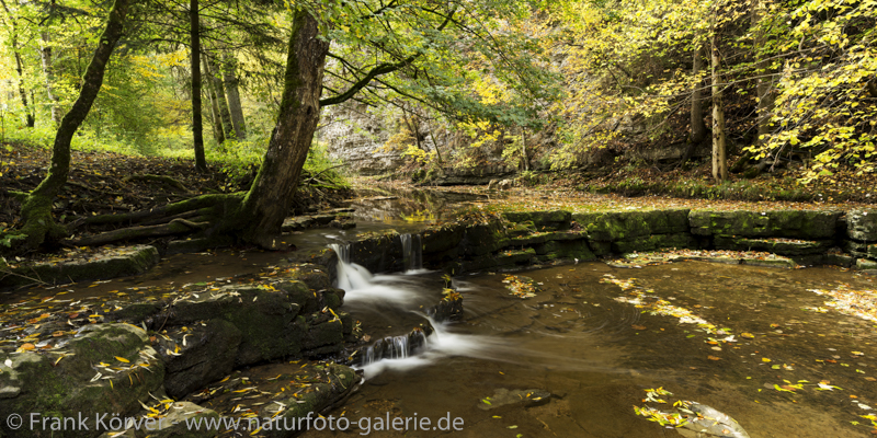 Frank-Koerver-Naturfotografie-Waldbach-15107_58_Frank-Koerver